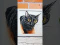 【油絵】【黒猫】 油彩画 芸術 油絵 絵 アート 猫 動物　 cat oilpainting oil painter paintingsea peinture