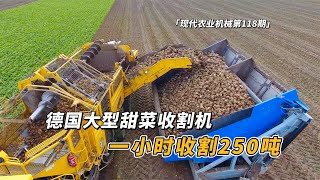 德国大型甜菜收割机，一次同时收割8行，一小时收割250吨【科技发明秀】