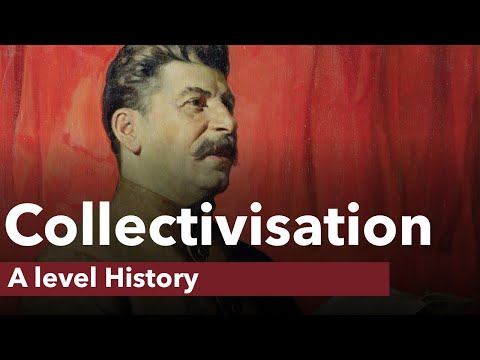 Why did the Soviet government’s transition to collectivization?