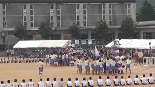 中学生組体操