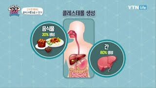 고기를 안 먹어도 콜레스테롤이 높을 수 있다! / YTN 라이프