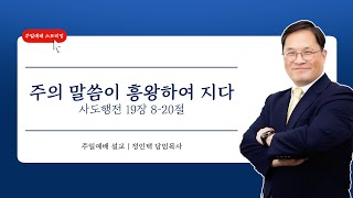 2024.10.20. [대전대흥교회] 함께드리는 주일예배 | 사도행전 19장 8-20절 | 주의 말씀이 흥왕하여 지다 | 정인택 담임목사