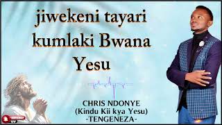 Chris Ndonye TENGENEZA ( Lyric )