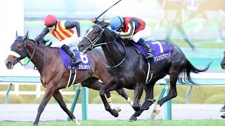 【阪神ジュベナイルＦ2024ほか】伊吹雅也のピックアップ競馬データ～メイン「1点」分析編｜競馬ニュース｜競馬予想のウマニティ