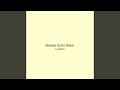 Breeze Echo Silver