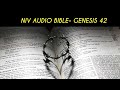 GENESIS 42 NIV AUDIO BIBLE (with text)