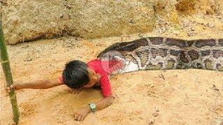 Primitive Technology: Simple DIY Python Snake Trap Using real hands That Work 100%