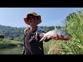 fishing in a thai jungle nov 2024 nature sound series