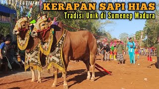 Kerapan Sapi Hias, Tradisi Unik di Sumenep Madura