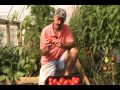 greenhouse picking and grinning