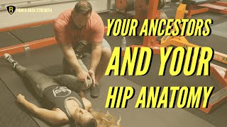 Stiffness, hip structure and Why this matters for Strength Athletes!