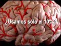 Programa: MINIATURAS: Espacio: Respuestas de la Ciencia Título: ¿Usamos sólo el 10% del cerebro?