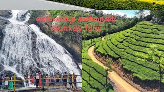 வால்பாறை கவியருவி/monkey falls / valparai /coimbatore pollachi tourist places/valparai tourist place