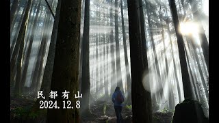 民都有山~~~登民都有山順訪清泉山孟宗竹林。雲霧、斜射光、杉木林與竹林的迷幻森林