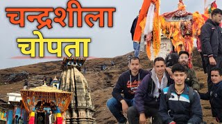 निकल पडे चन्द्रशीला तूगंनाथ ट्रेक पर ll Tungnath Temple chopta ll Tungnath mahadev ll #tungnath