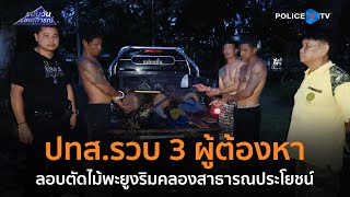 ปทส.รวบ 3 ผู้ต้องหาลอบตัดไม้พะยูงริมคลองสาธารณประโยชน์  |  รอบวันทันเหตุการณ์ 04 ก.ย.67