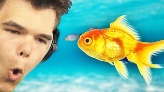THE FISH PROP! (GMod Funny Moments)