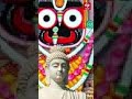 ଜୟ ଜଗନ୍ନାଥ କାଳିଆ ସାଆନ୍ତ 🙏🙏🙏🙏🙏🚩 jay jagannath