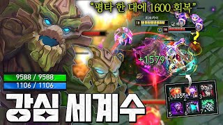 역대급 0티어 탱커ㅋㅋㅋㅋ초당 3천회복 슈퍼 체급 마오카이
