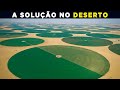 Como a Arábia Saudita está Reflorestando o Deserto