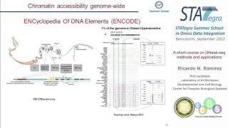 STATegra Summer School 2015: Dnase seq