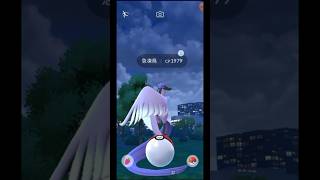 （寶可夢go pokemon go）成功捕抓「伽勒爾.急凍鳥」！