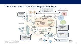 Unraveling the legacy and future of Hepatitis B Diagnosis...