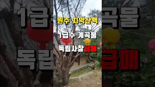 [원주사찰매매]강원도 판부면/치악산국립공원부근 힐링 법당 7.5억 (절 암자)기도터 명상센터부지 기도원 #shorts