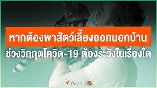 หากต้องพาสัตว์เลี้ยงออกนอกบ้านช่วงวิกฤตโควิด-19 ต้องระวังเรื่องใด (27 เม.ย. 63)