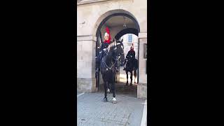 horse guards