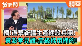 【辣新聞精華】獨！  直擊新疆生產建設兵團！  黃澎孝見證:高級棉用摘的！  2021.03.27