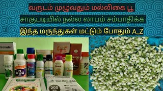 மல்லிகை சாகுபடிக்கு அனைத்து மருந்துகள் A_Z||வருடம் முழுவதும் சாகுபடி||  Jasmine cultivation inTamil