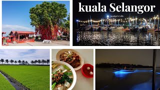 [ Kuala Selangor 1Day Trip Vlog] - 不用出国也可以看到蓝眼泪？Malaysia  | Blue Tears 蓝眼泪 | Sekinchan 鱼米之乡适耕庄 |