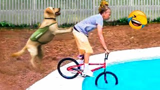 You Can't Stop Laughing At These Funny Dogs Videos 😹 🐶 | Pets Island