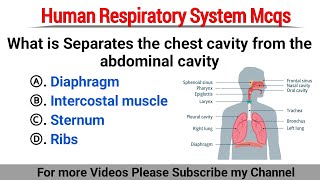 Human Respiratory System Mcqs | respiratory system mcq | respiration