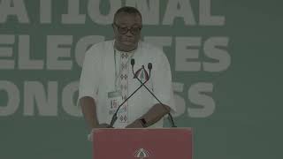 NDC National Delegates Congress: A mosquito that you can see cannot bite - Samuel Ofosu-Ampofo