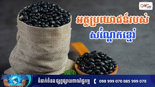 CNGTV | នាទីសុខភាព Ep.141 ប្រធានបទ៖ អត្ថប្រយោជន៍របស់សណ្តែកខ្មៅ