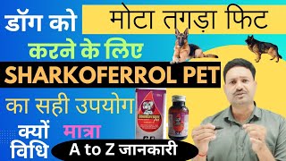 डॉग को मोटा तगड़ा फिट करने के लिए Sharkoferrol Pet का सही उपयोग क्यों मात्रा विधि A to Z जानकारी