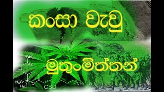 කංසා වැවු මුතුන් මිත්තන්