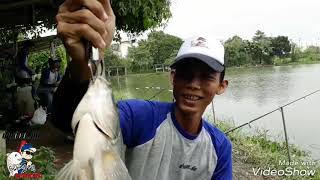 EP.03ထိုင္းေရာက္ ငါးမၽွား🐠🐠T P T Fishing Boy🐠🐠