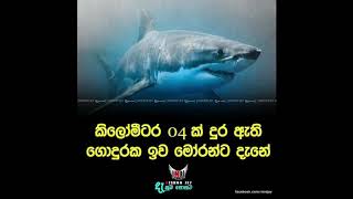 ජීවිතයට ඉඩක්.