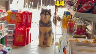 王监工欢迎你的光临 supervisor Wang is ready to serve丨Apenjie with Dawang