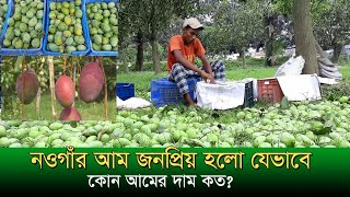 আমের বিশাল বাজার নওগাঁ#Naogaon_mango#Mango Market