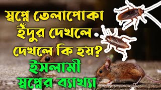 স্বপ্নে ইঁদুর ও তেলাপোকা দেখলে কি হয় | shopne idur telapoka dekhle ki hoy | shopner bekkha tabir