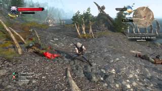 Witcher Wild Hunt - Slaying Monsters