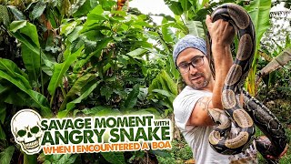 Dealing with an Angry Boa in the Heart of Amazon: The Savage Encounter!