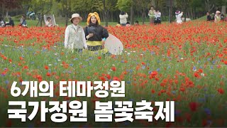 🌸국가정원 봄꽃축제 커밍쑨!!🌸 테마정원이 여섯가지나?! (2024년 5월 14일 / 울산 MBC / 울트라 방송)