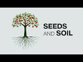 Seeds and Soil | Pastor Joshua Harris with Pastor Mark Chew | Every Nation Singapore