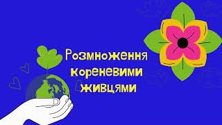 Розмноження кімнатних рослин живцюванням