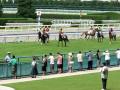 ８月２３日 小倉競馬４レース新馬戦　（ 本馬場入場 ）